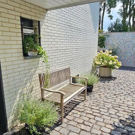 Ihr Ausblick - Charmantes In Rheinlage - Rheinperle Wesseling